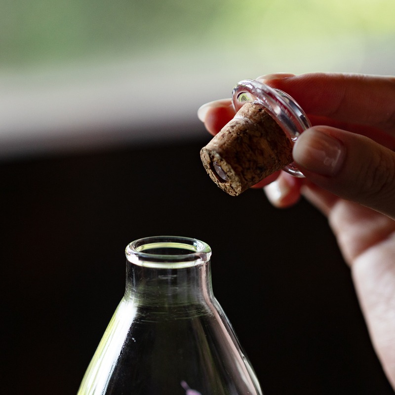 Bouteille en verre borosilicat - Cold Brew Bottle avis et prix