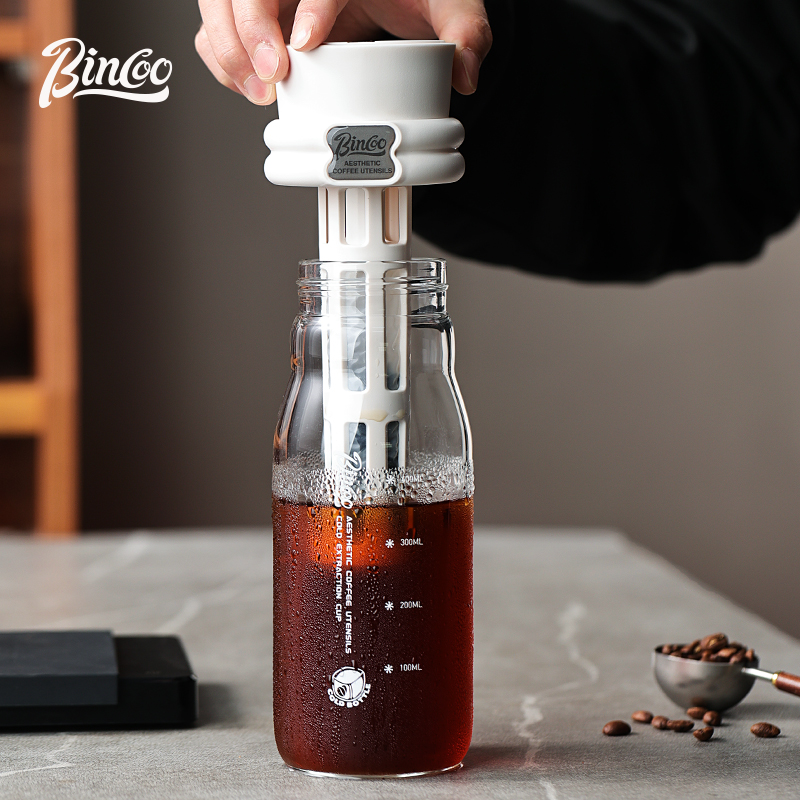 Bincoo 600ML été cafetière à i - Cold Brew Bottle avis et prix