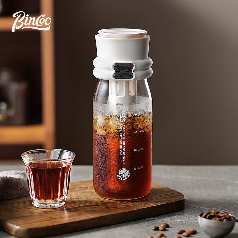 Bincoo 600ML été cafetière à i - Cold Brew Bottle avis et prix